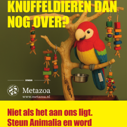 Poster: "Blijven alleen knuffeldieren dan nog over?" Ara